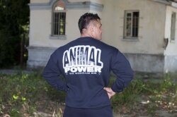 Реглан BigSam 4626 NEW